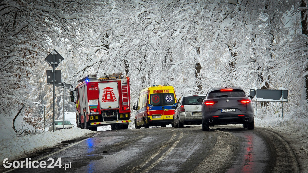 Gorlice. Akcje strażaków usuwania skutków śnieżycy (23.11.)