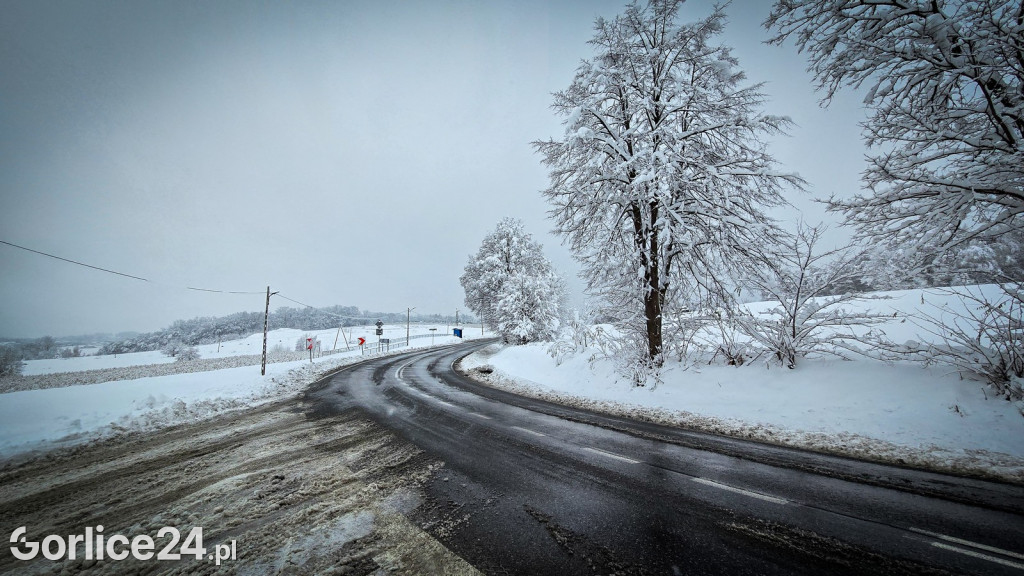 Gorlice. Akcje strażaków usuwania skutków śnieżycy (23.11.)