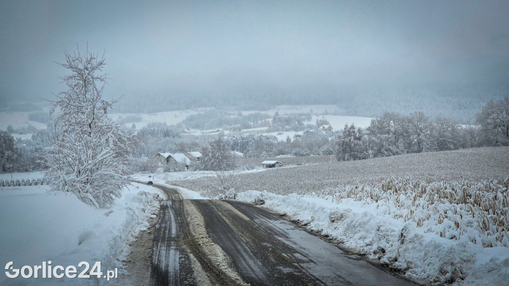 Gorlice. Akcje strażaków usuwania skutków śnieżycy (23.11.)
