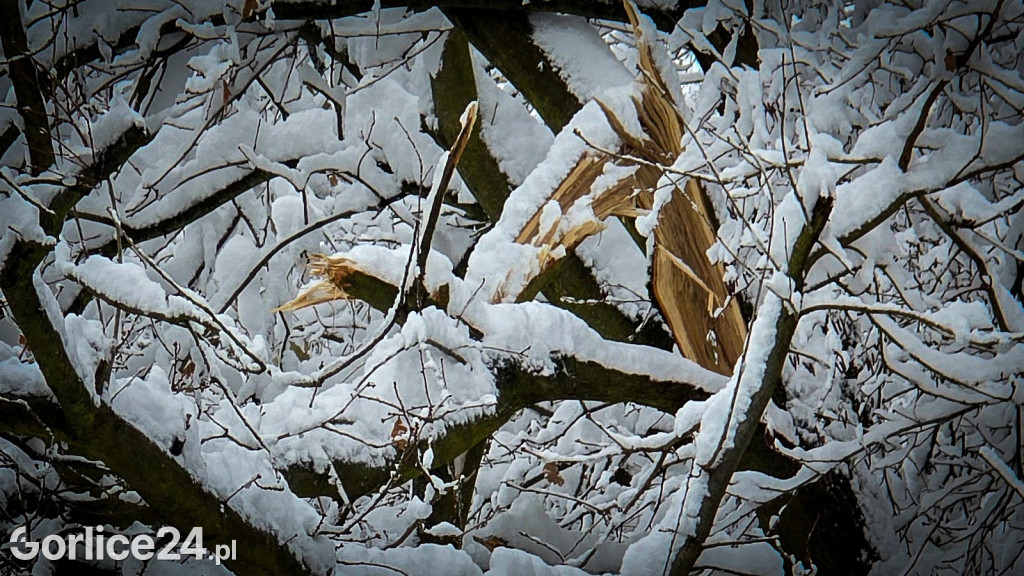 Gorlice. Akcje strażaków usuwania skutków śnieżycy (23.11.)
