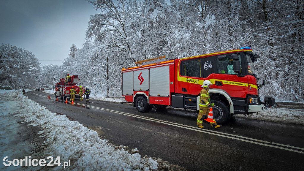 Gorlice. Akcje strażaków usuwania skutków śnieżycy (23.11.)