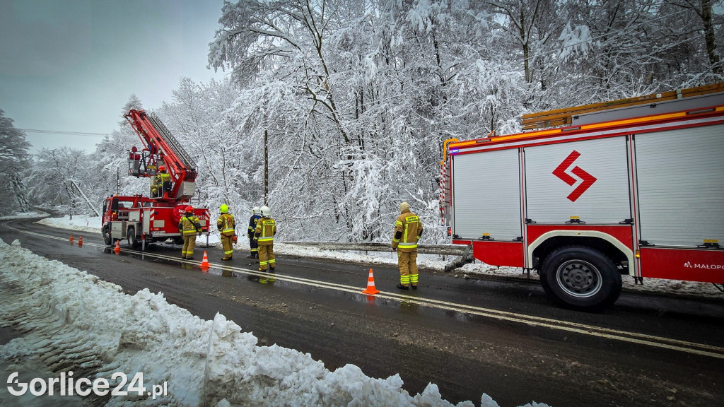 Gorlice. Akcje strażaków usuwania skutków śnieżycy (23.11.)