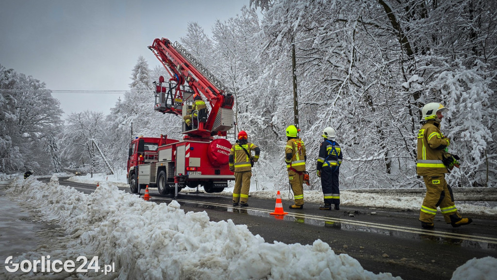 Gorlice. Akcje strażaków usuwania skutków śnieżycy (23.11.)