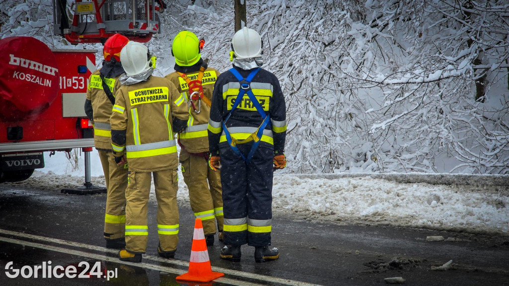 Gorlice. Akcje strażaków usuwania skutków śnieżycy (23.11.)