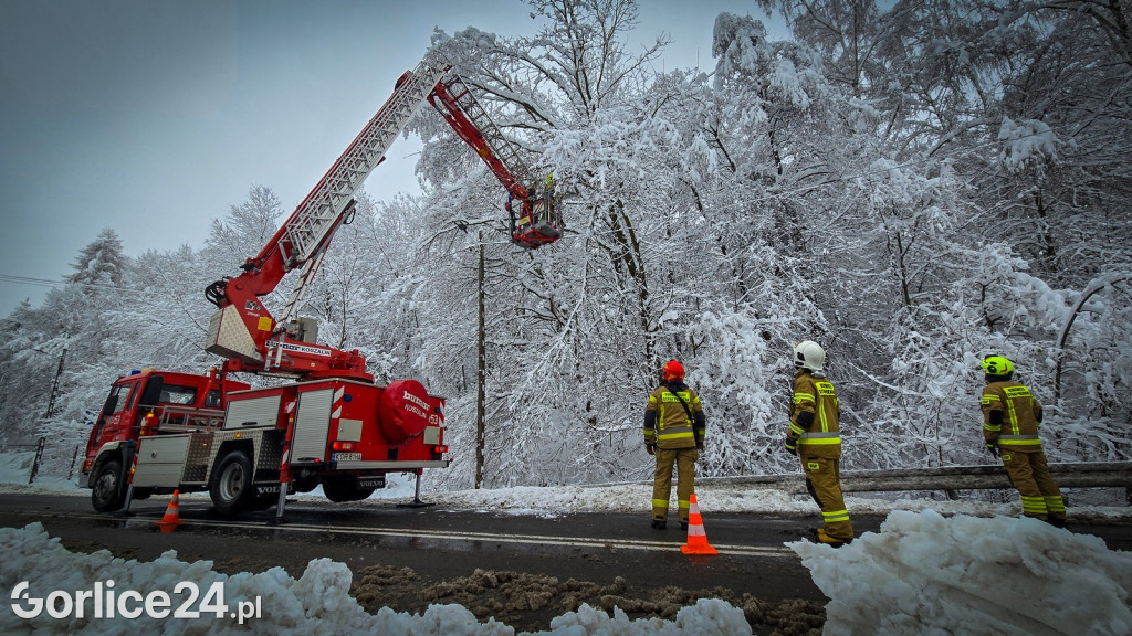 Gorlice. Akcje strażaków usuwania skutków śnieżycy (23.11.)