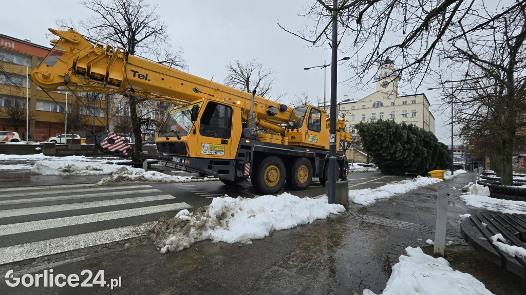Gorlicka choinka (26.11)