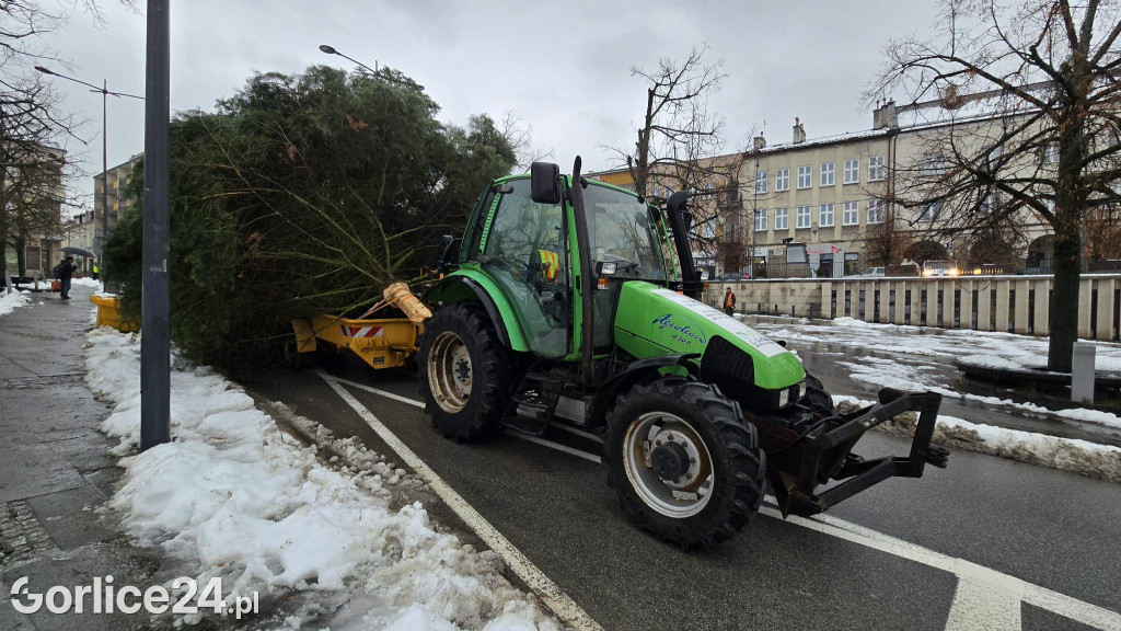Gorlicka choinka (26.11)