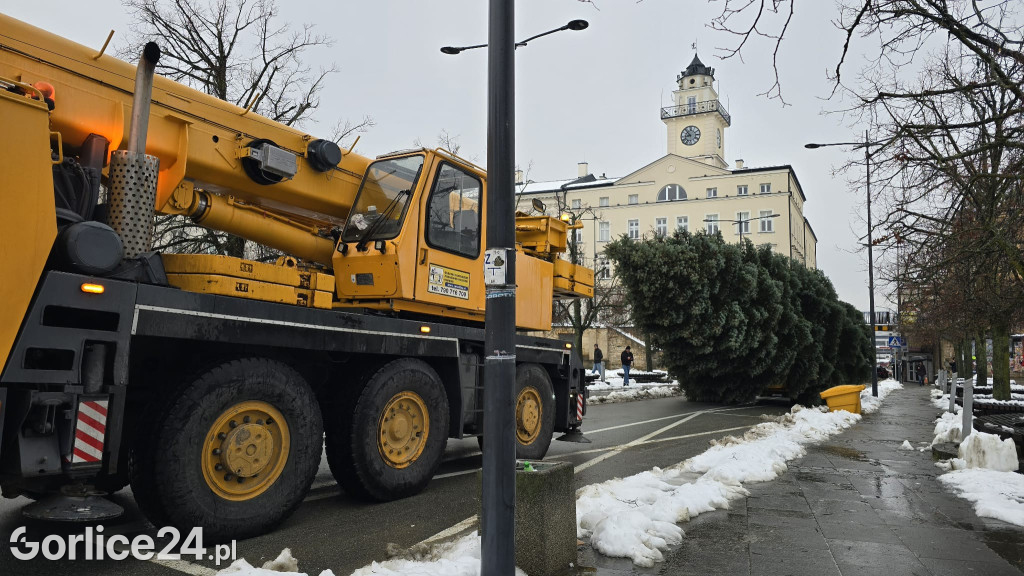 Gorlicka choinka (26.11)