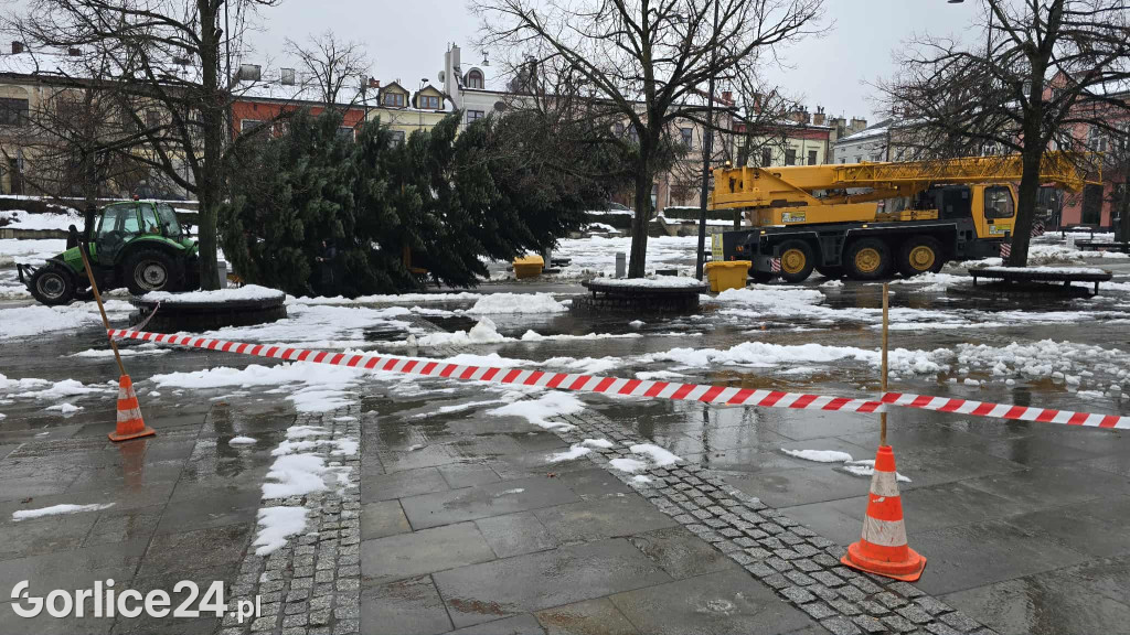Gorlicka choinka (26.11)