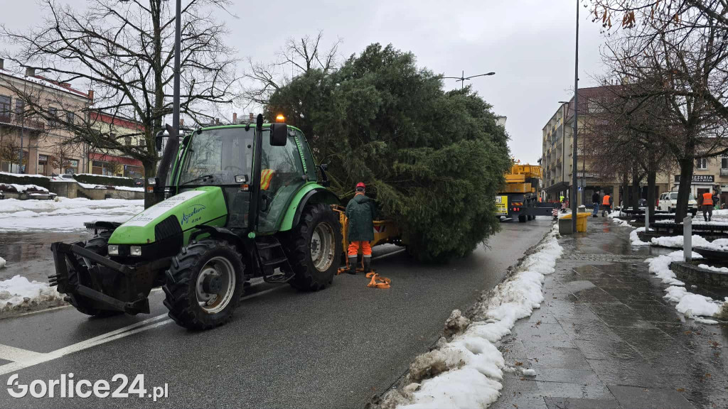 Gorlicka choinka (26.11)