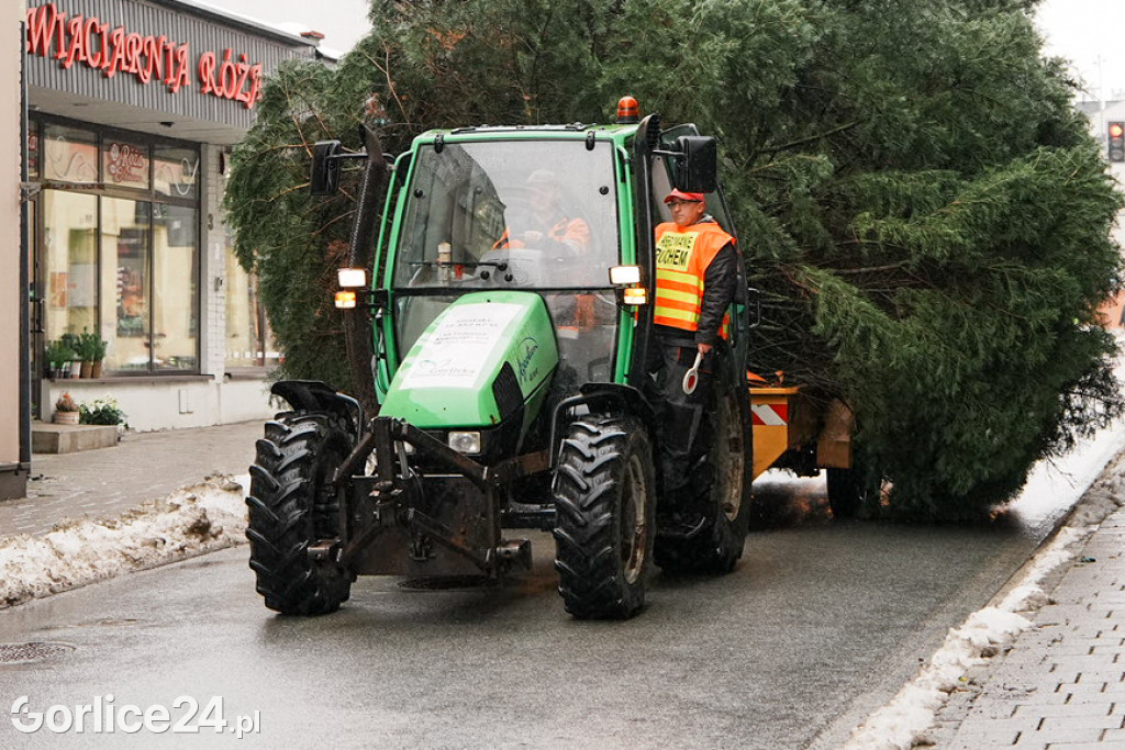 Gorlicka choinka (26.11)