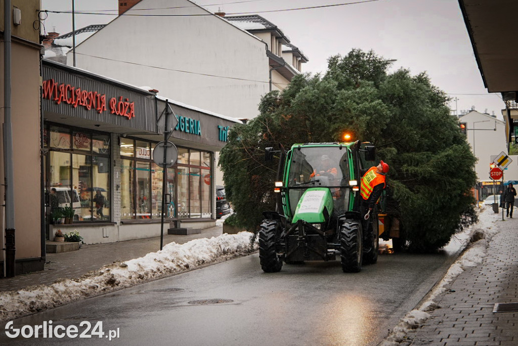 Gorlicka choinka (26.11)
