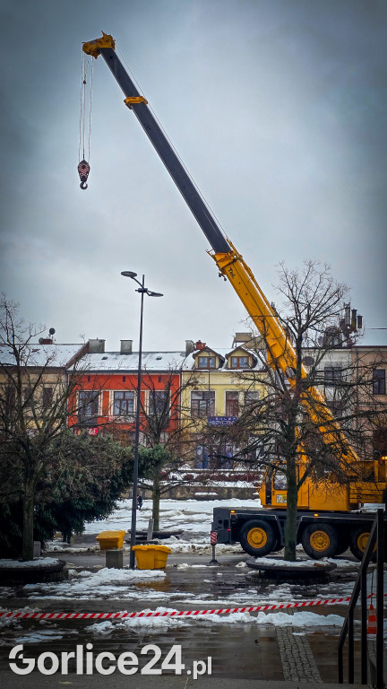 Gorlicka choinka (26.11)