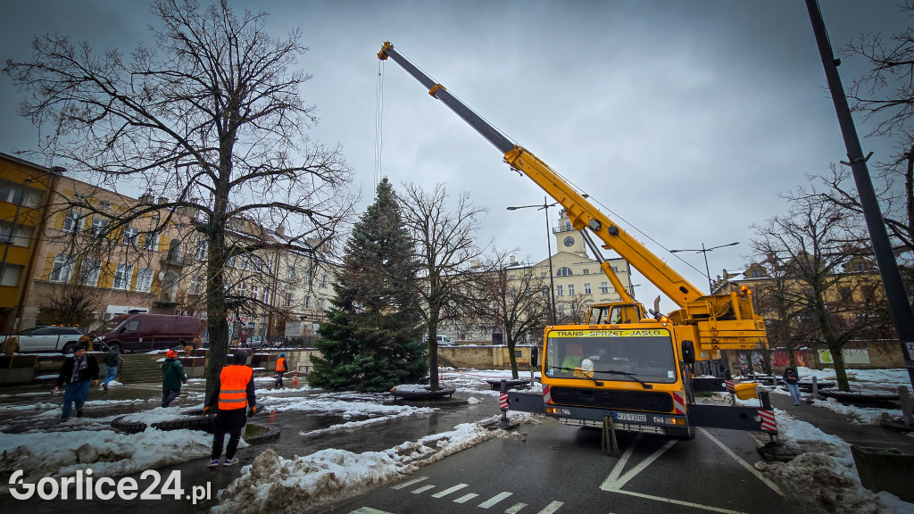 Gorlicka choinka (26.11)