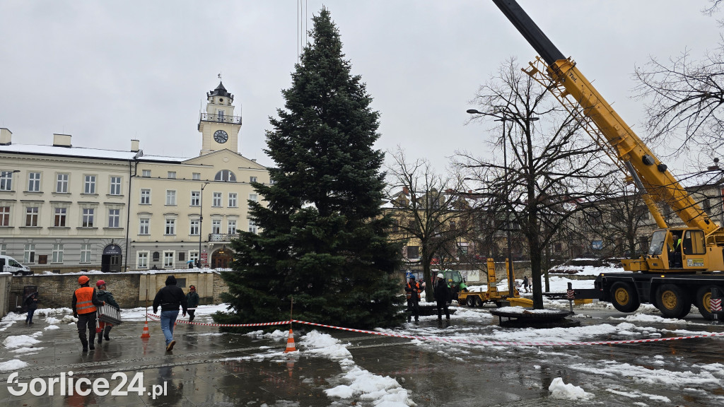 Gorlicka choinka (26.11)