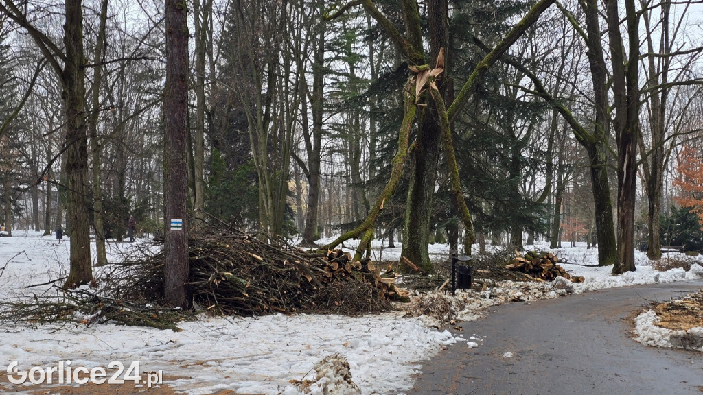 Zniszczony przez śnieg Park Miejski w Gorlicach