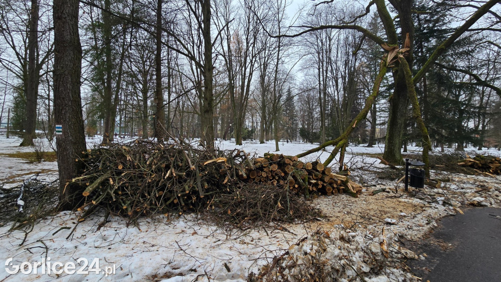 Zniszczony przez śnieg Park Miejski w Gorlicach