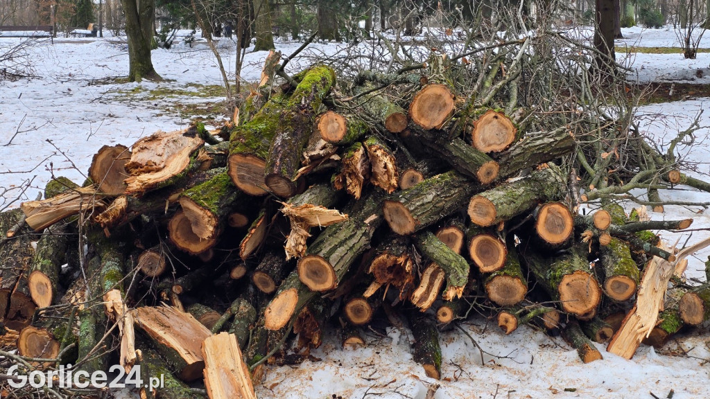 Zniszczony przez śnieg Park Miejski w Gorlicach