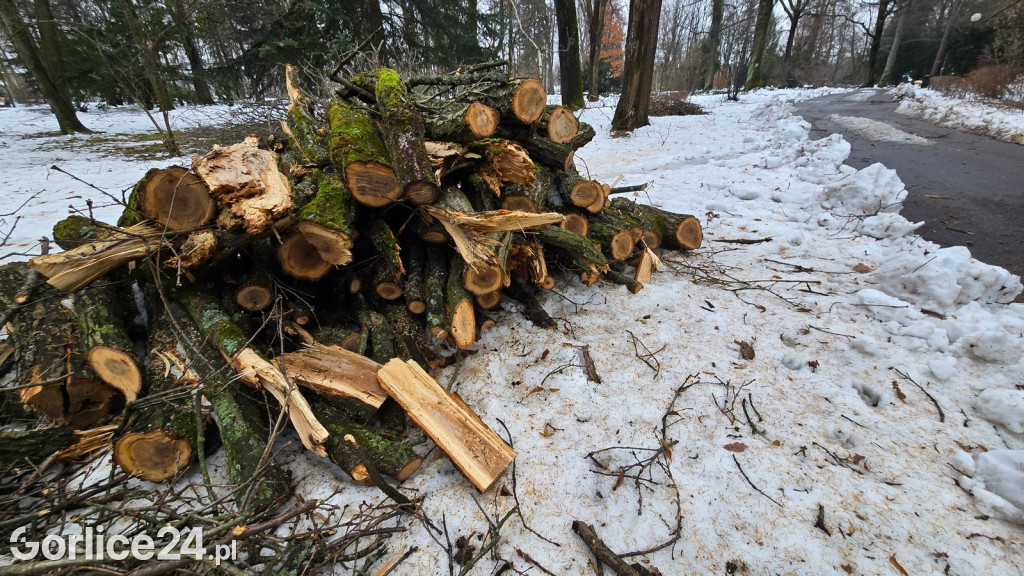 Zniszczony przez śnieg Park Miejski w Gorlicach