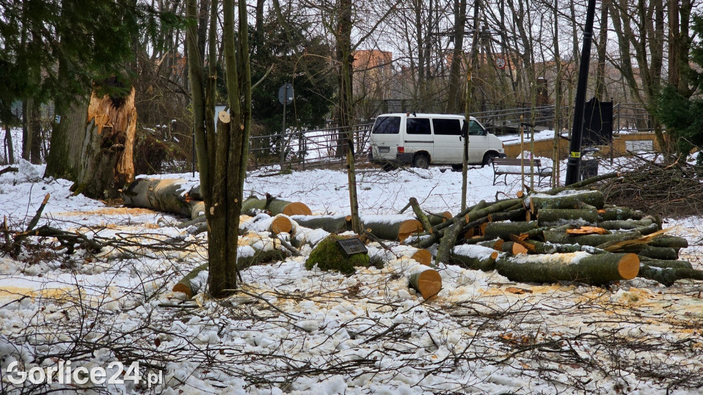 Zniszczony przez śnieg Park Miejski w Gorlicach