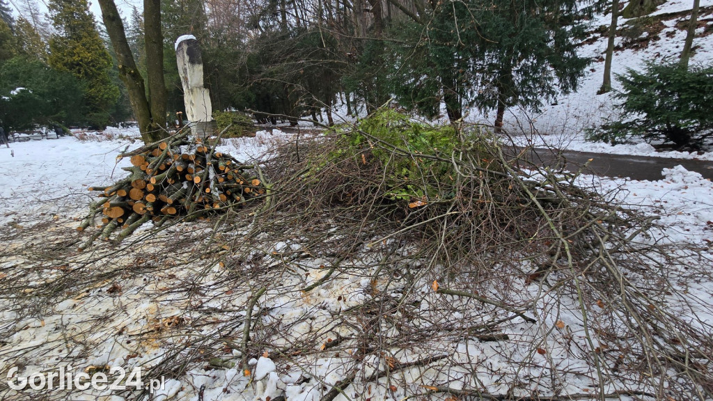 Zniszczony przez śnieg Park Miejski w Gorlicach
