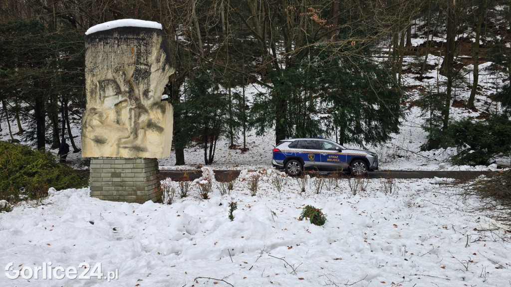 Zniszczony przez śnieg Park Miejski w Gorlicach
