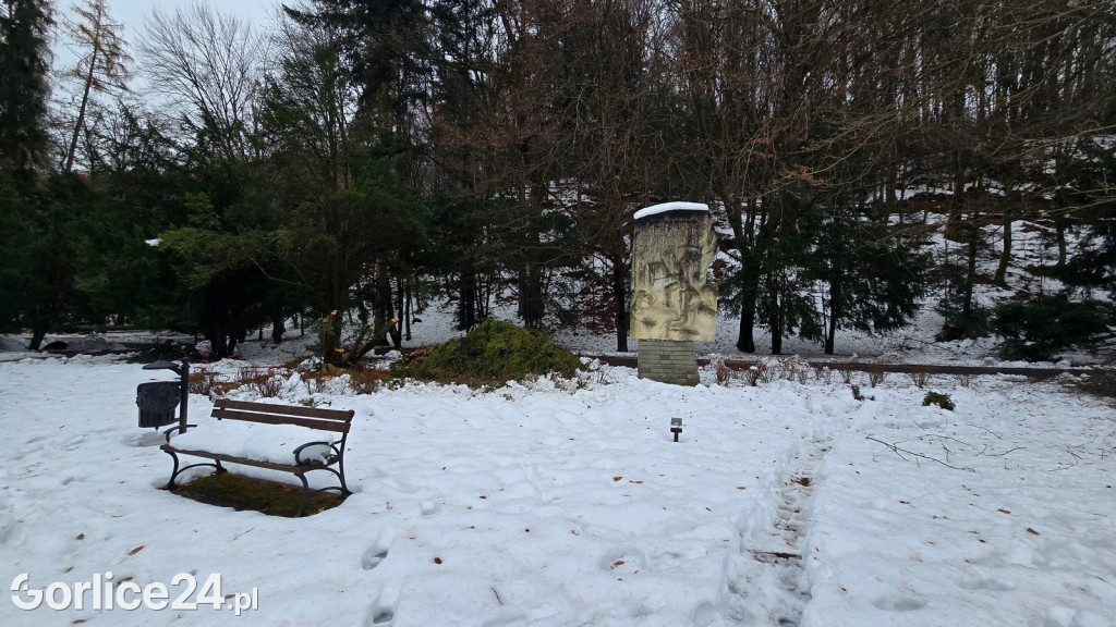 Zniszczony przez śnieg Park Miejski w Gorlicach