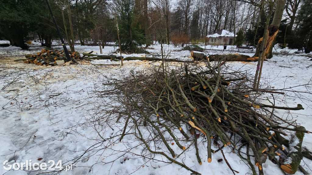Zniszczony przez śnieg Park Miejski w Gorlicach