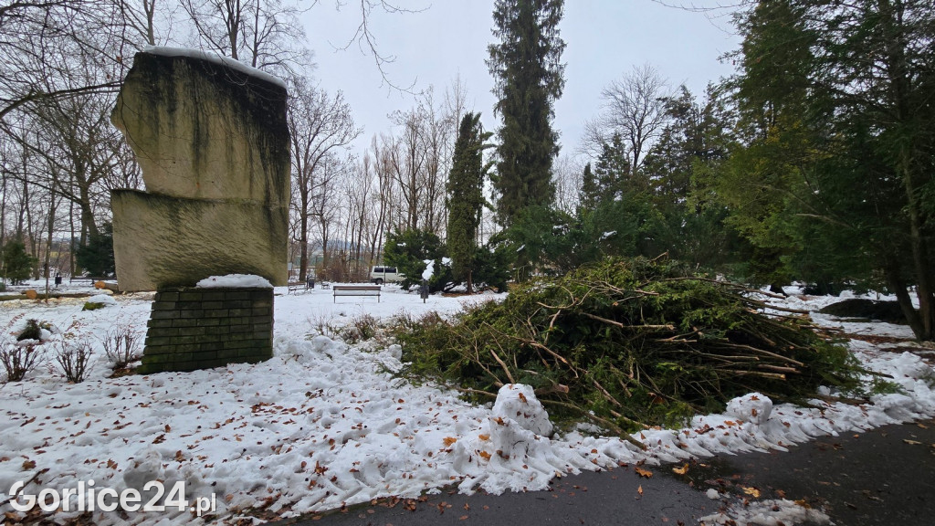 Zniszczony przez śnieg Park Miejski w Gorlicach
