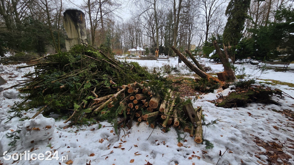 Zniszczony przez śnieg Park Miejski w Gorlicach