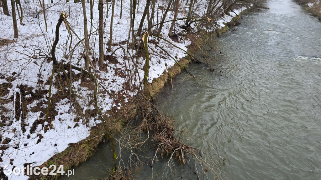 Zniszczony przez śnieg Park Miejski w Gorlicach