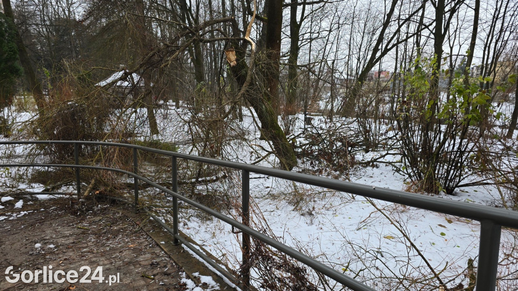 Zniszczony przez śnieg Park Miejski w Gorlicach