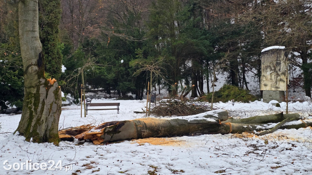 Zniszczony przez śnieg Park Miejski w Gorlicach