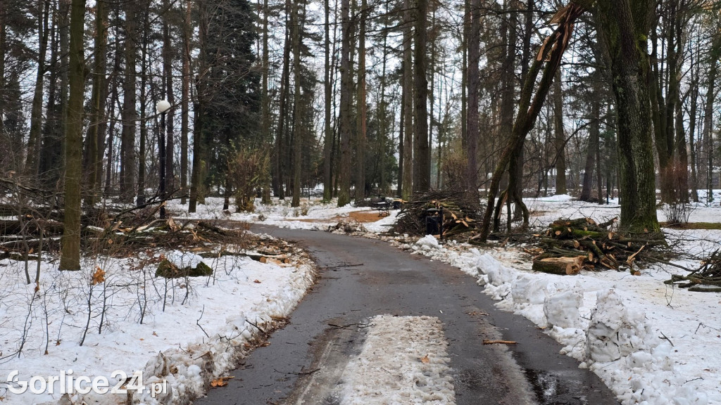 Zniszczony przez śnieg Park Miejski w Gorlicach