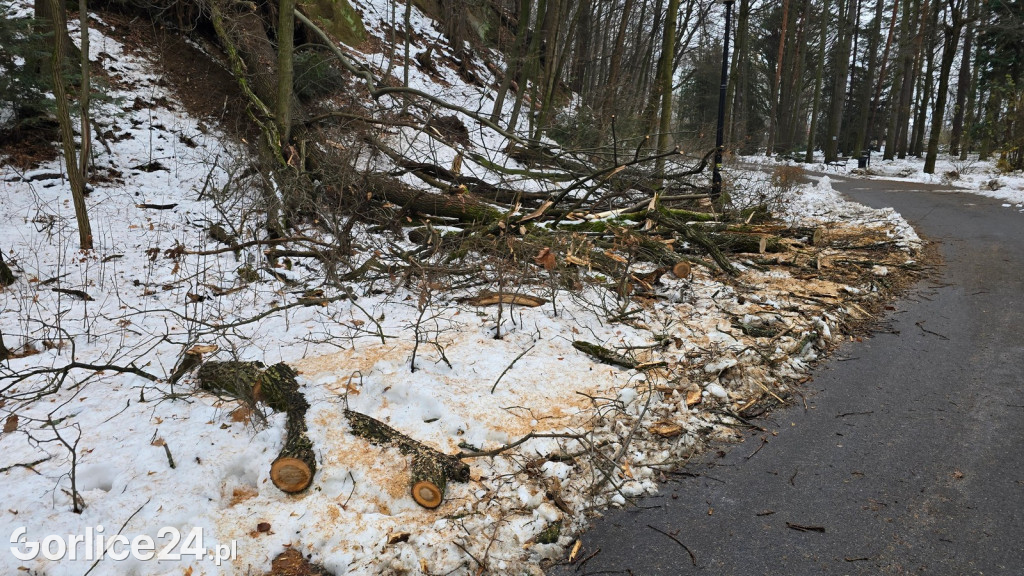 Zniszczony przez śnieg Park Miejski w Gorlicach