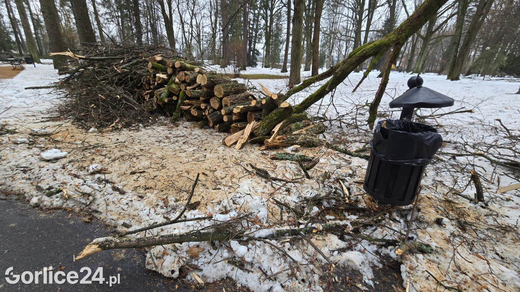 Zniszczony przez śnieg Park Miejski w Gorlicach