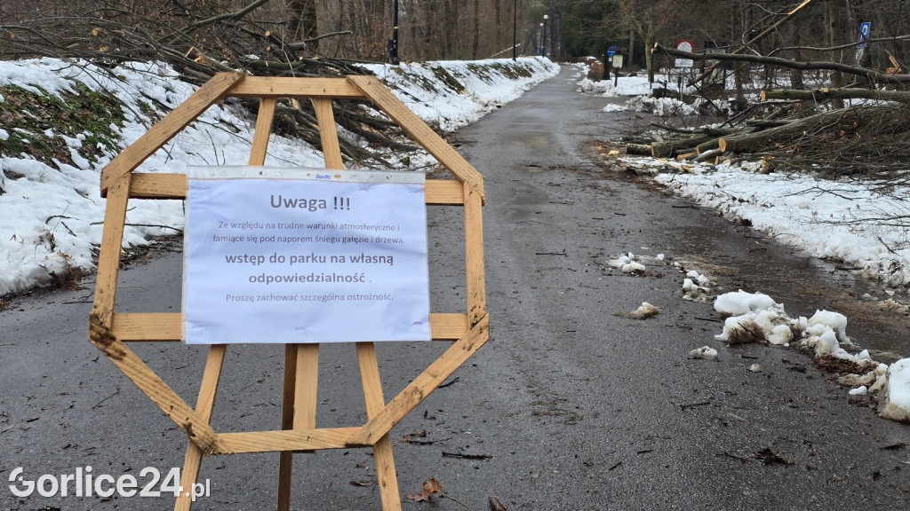 Zniszczony przez śnieg Park Miejski w Gorlicach