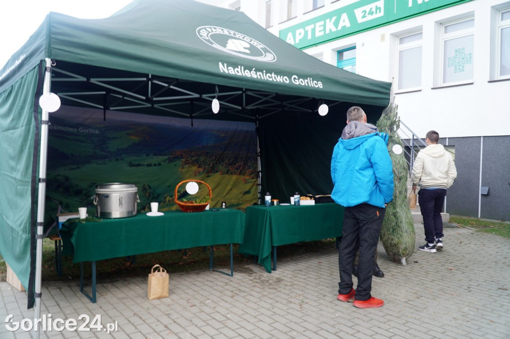 Choinka dla życia