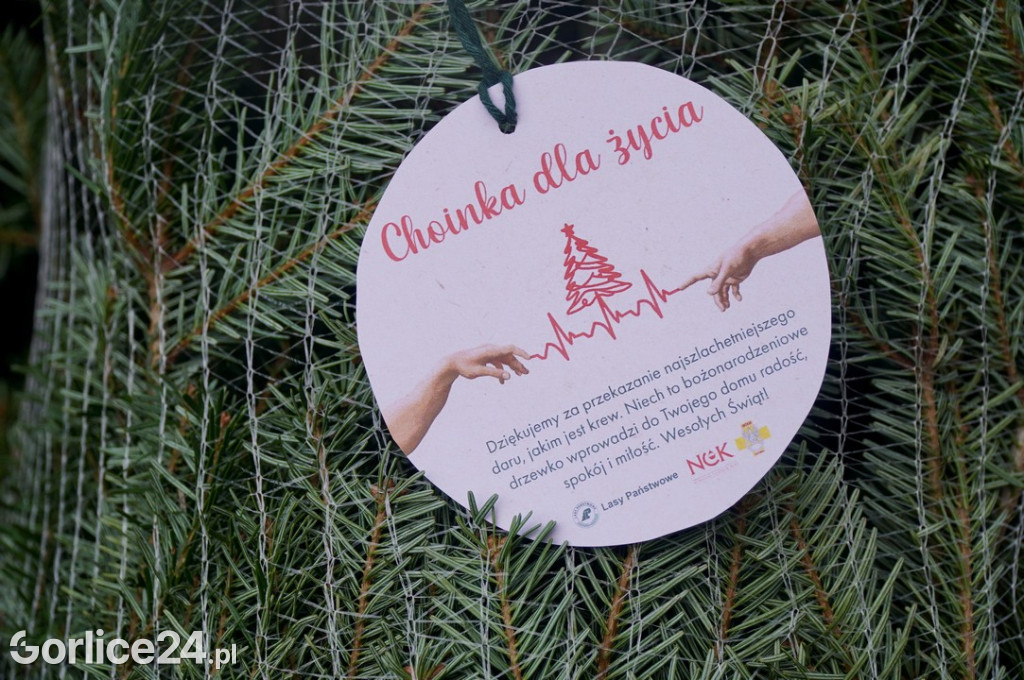 Choinka dla życia