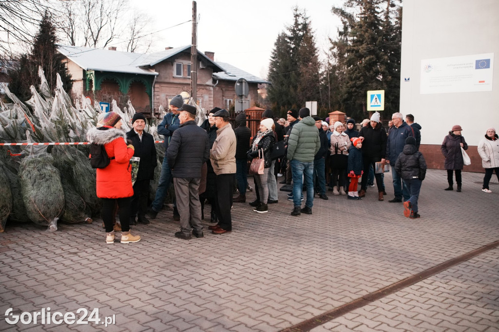 Choinki od Starosty Gorlickiego 2025 (19.12.)