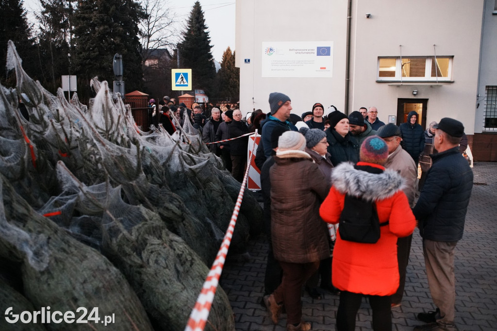 Choinki od Starosty Gorlickiego 2025 (19.12.)