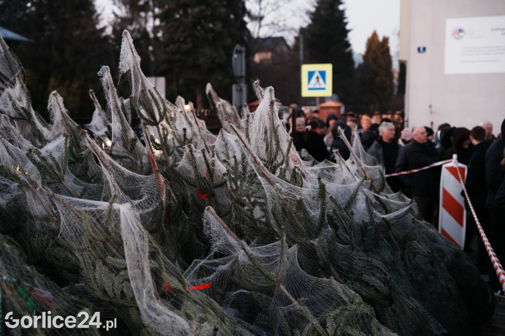 Choinki od Starosty Gorlickiego 2025 (19.12.)
