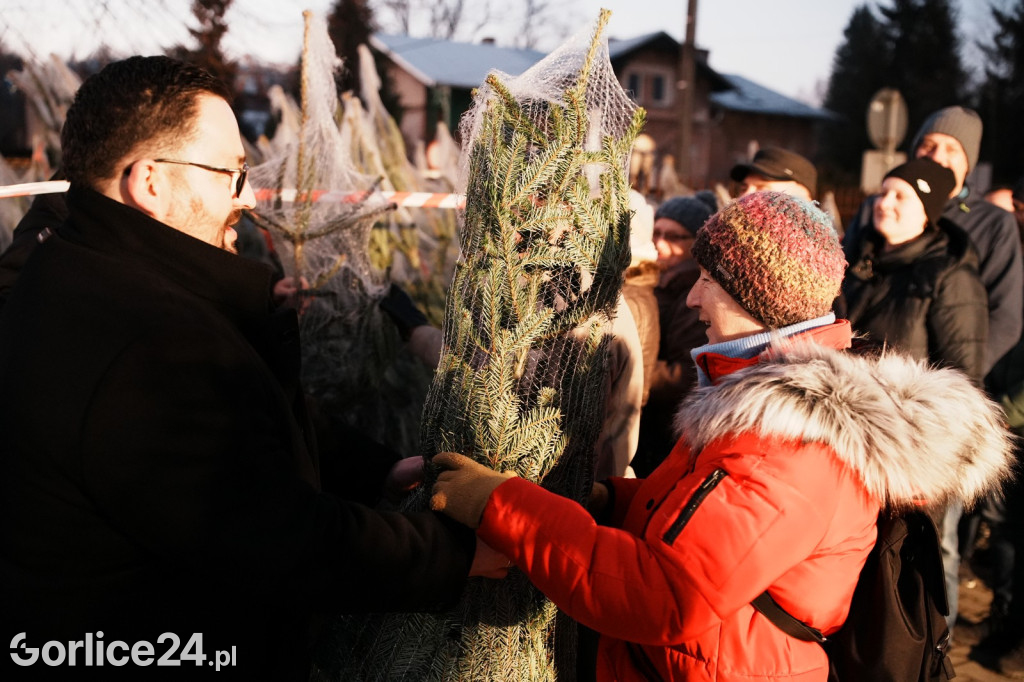 Choinki od Starosty Gorlickiego 2025 (19.12.)