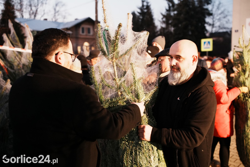 Choinki od Starosty Gorlickiego 2025 (19.12.)