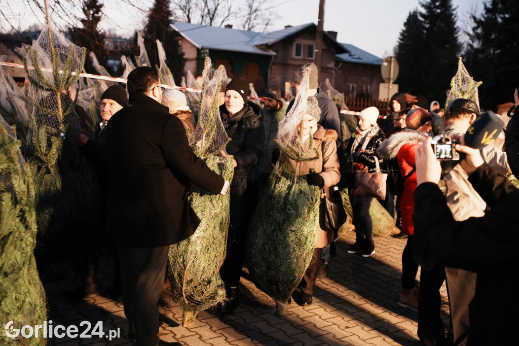 Choinki od Starosty Gorlickiego 2025 (19.12.)
