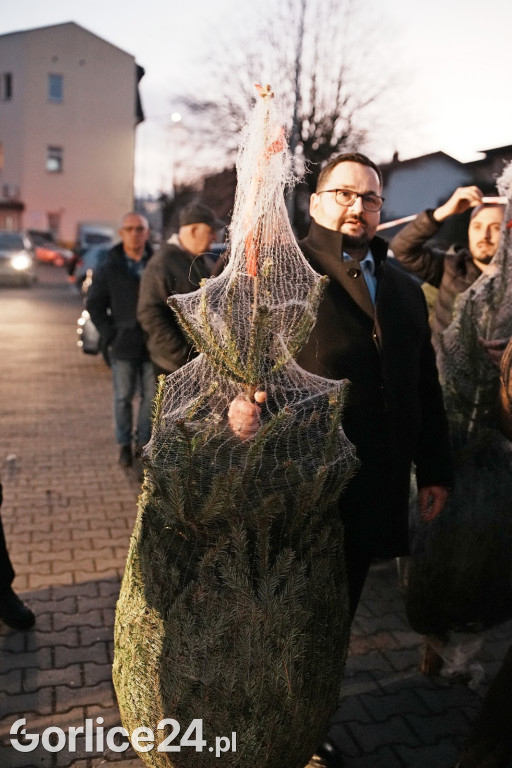 Choinki od Starosty Gorlickiego 2025 (19.12.)