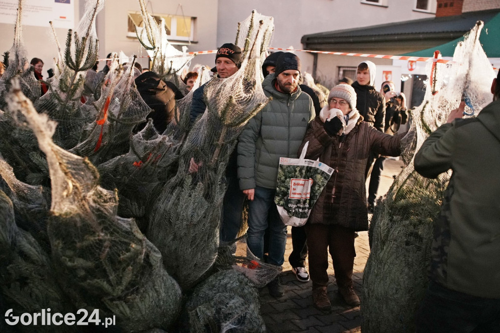 Choinki od Starosty Gorlickiego 2025 (19.12.)