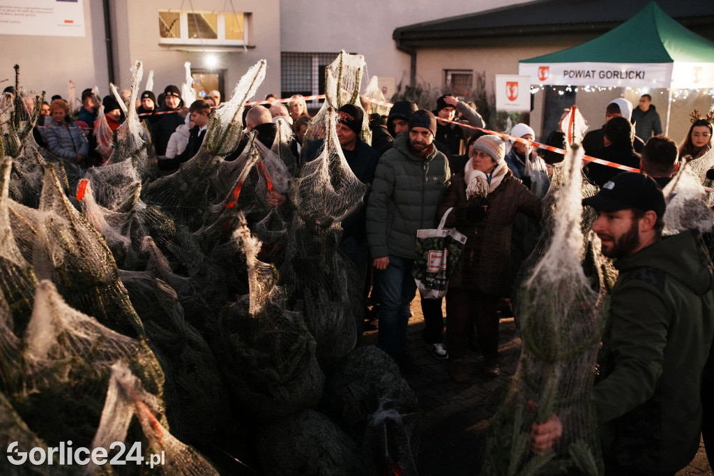 Choinki od Starosty Gorlickiego 2025 (19.12.)