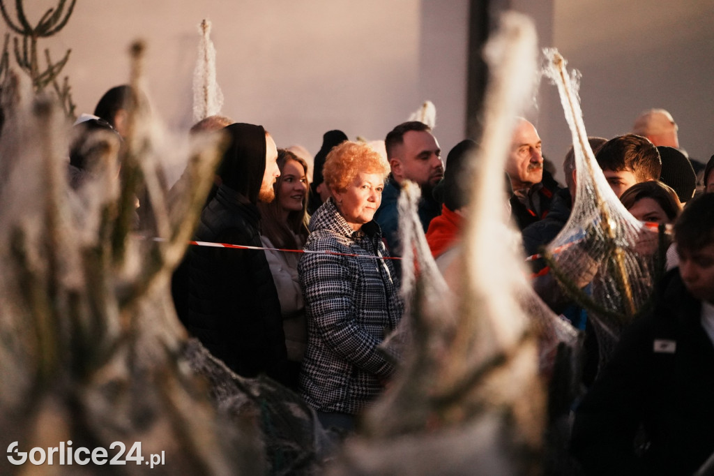 Choinki od Starosty Gorlickiego 2025 (19.12.)