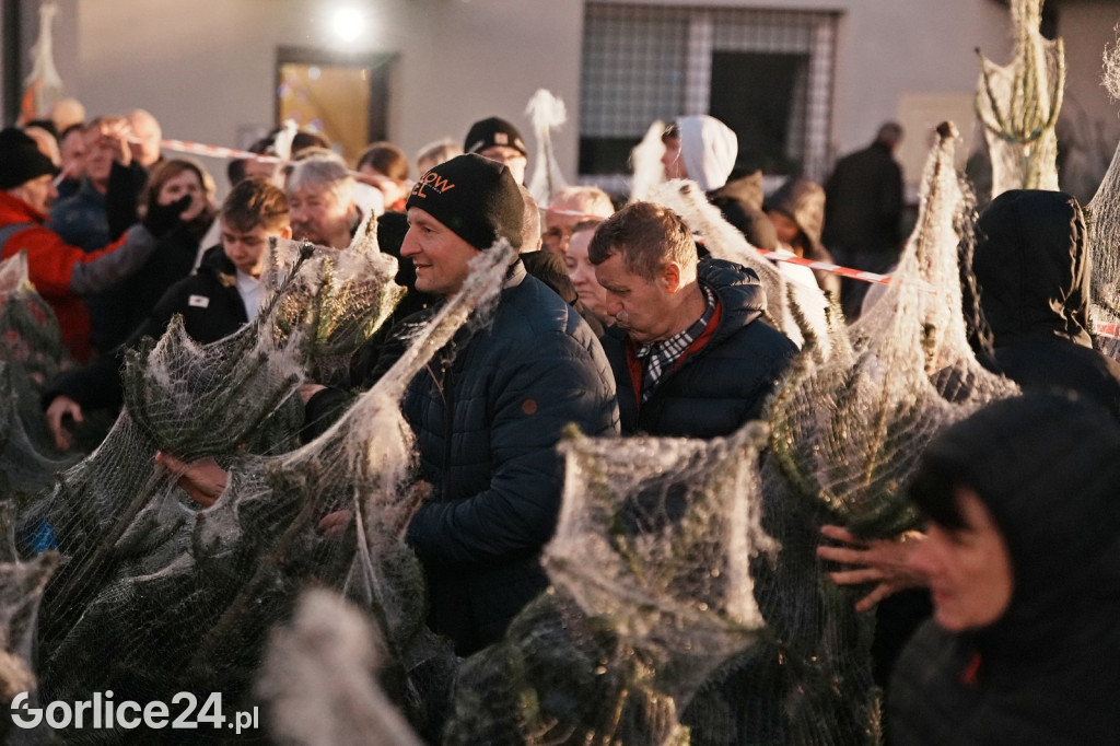 Choinki od Starosty Gorlickiego 2025 (19.12.)